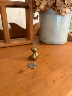Mini Brass Duck
