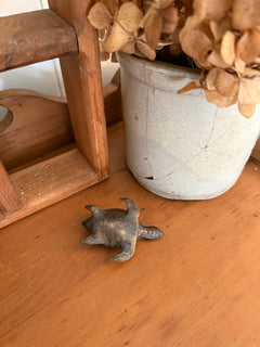 Small Brass Turtle