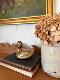 Brass Duck
