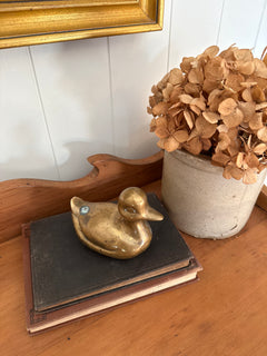 Brass Duck