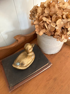 Brass Duck