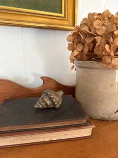 Brass Sea Shell