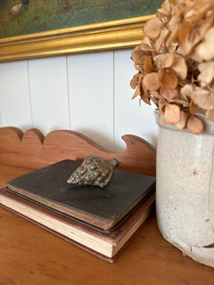 Brass Sea Shell
