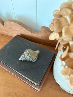 Brass Sea Shell