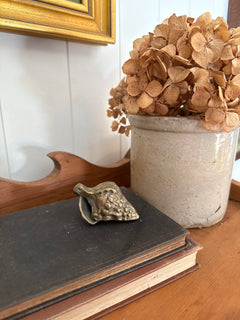 Brass Sea Shell