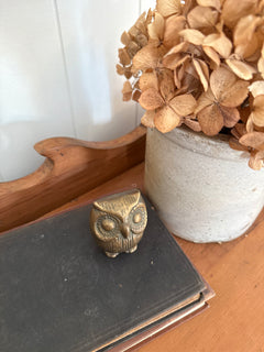 Small Brass Owl