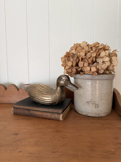 Brass Duck