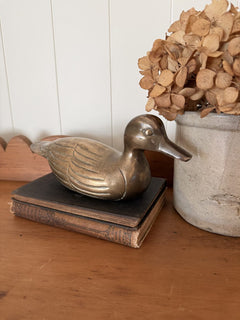 Brass Duck