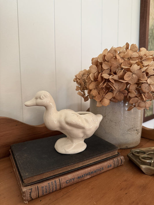 Ceramic Duck Planter
