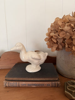 Ceramic Duck Planter